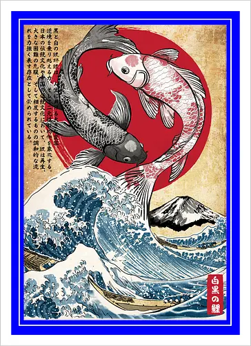 Koi balance in Japan