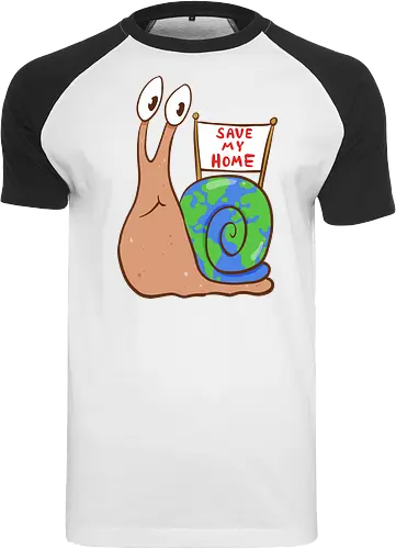 Save my Home-Schnecke