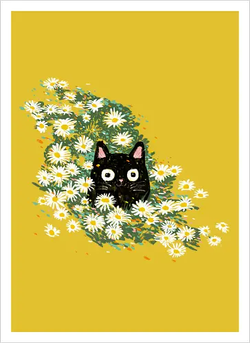 Summer catmouflage