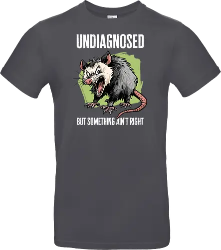 Undiagnosed Opossum