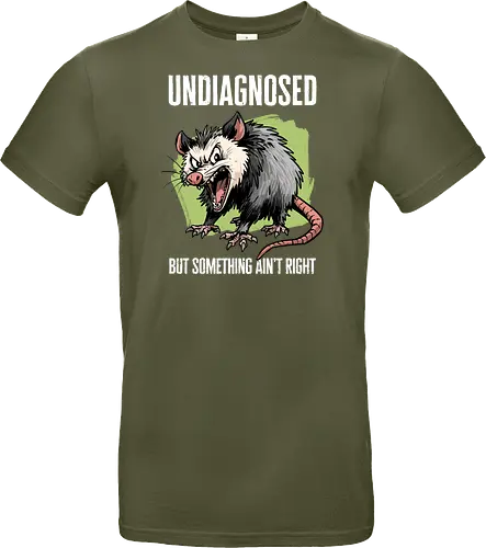 Undiagnosed Opossum
