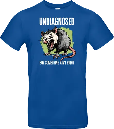 Undiagnosed Opossum