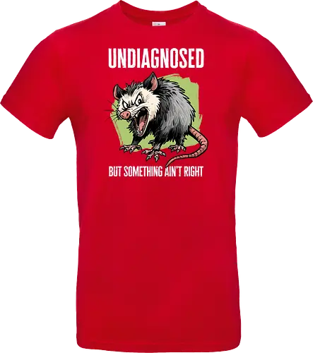 Undiagnosed Opossum