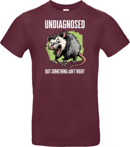 Undiagnosed Opossum