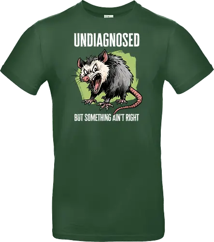 Undiagnosed Opossum