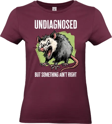 Undiagnosed Opossum - undiagnosed, adhd, anxiety, anxious, depression, introvert, meme, mental health, mental illness, neurodivergent, opossum, possum, screaming, silly, undiagnosed but something aint right - Standard T-Shirt (Frauen)