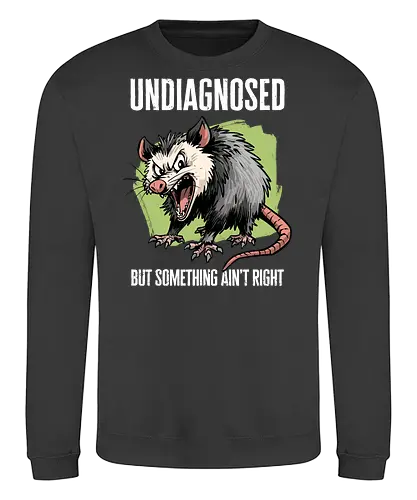 Undiagnosed Opossum - undiagnosed, adhd, anxiety, anxious, depression, introvert, meme, mental health, mental illness, neurodivergent, opossum, possum, screaming, silly, undiagnosed but something aint right - Sweatshirt