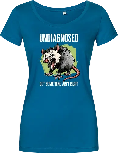 Undiagnosed Opossum
