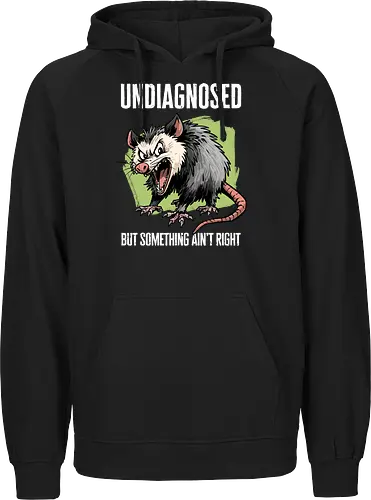 Undiagnosed Opossum