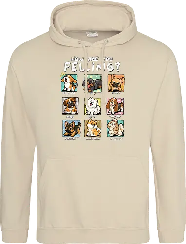 How Are You Feeling