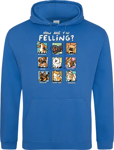 How Are You Feeling