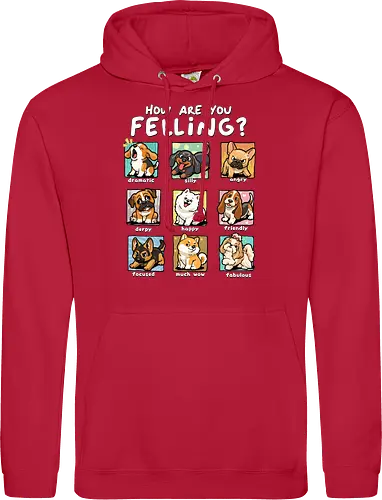 How Are You Feeling