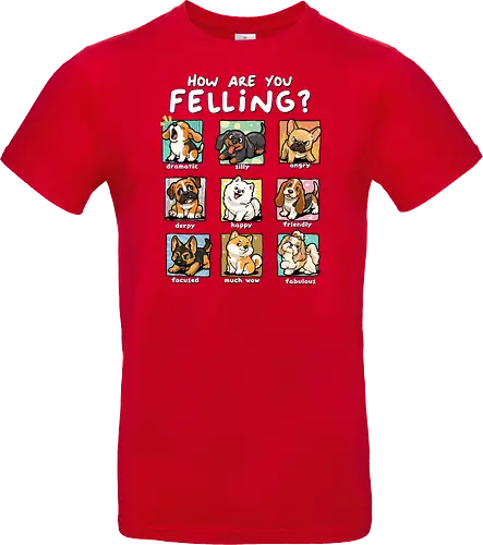 How Are You Feeling