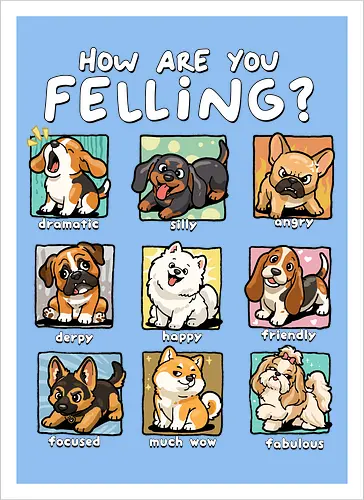 How Are You Feeling