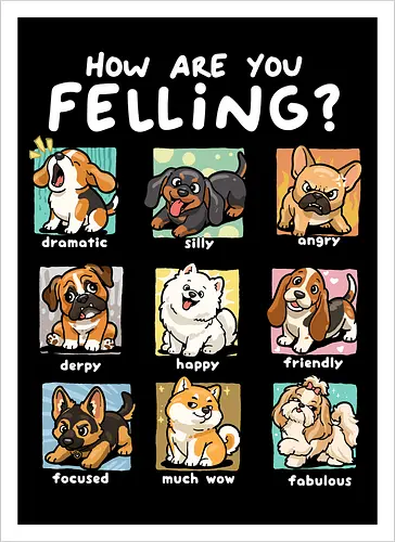 How Are You Feeling