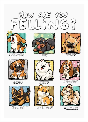 How Are You Feeling