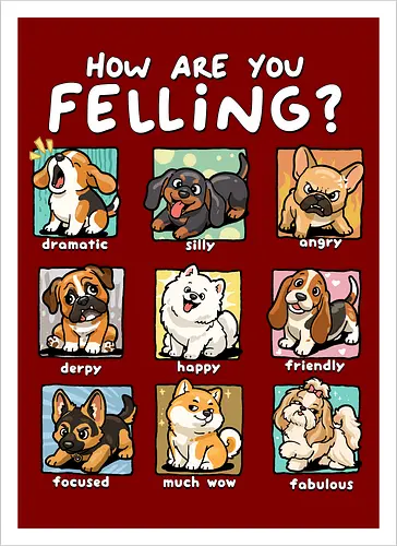 How Are You Feeling