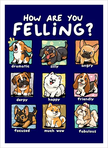 How Are You Feeling