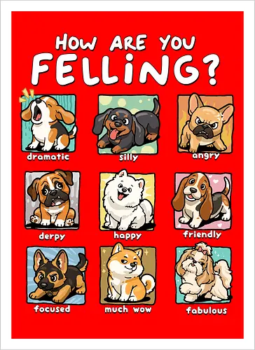 How Are You Feeling