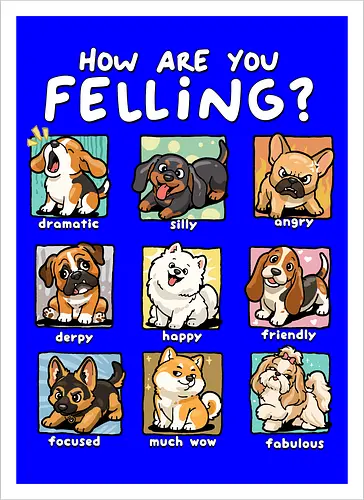 How Are You Feeling