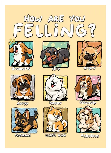 How Are You Feeling
