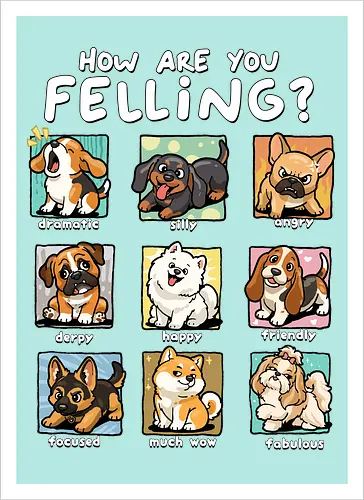 How Are You Feeling