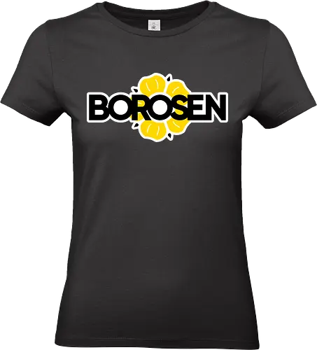 Borosen - Logo 