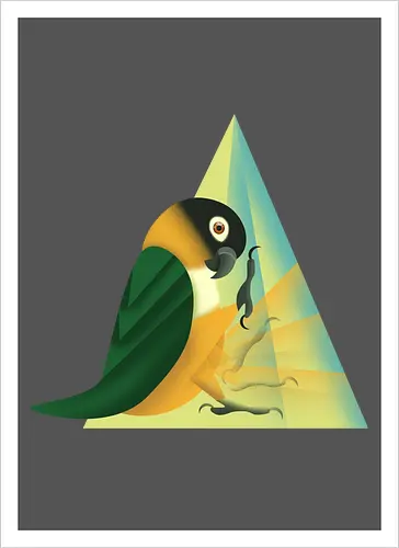 Stampfender Caique