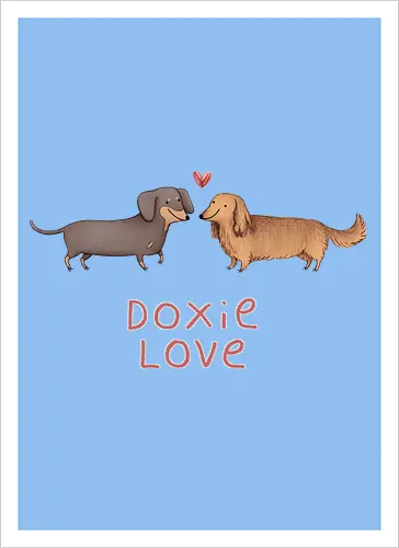 Zwei Lange Hunde Verliebt Rotes Herz Süße Illustration