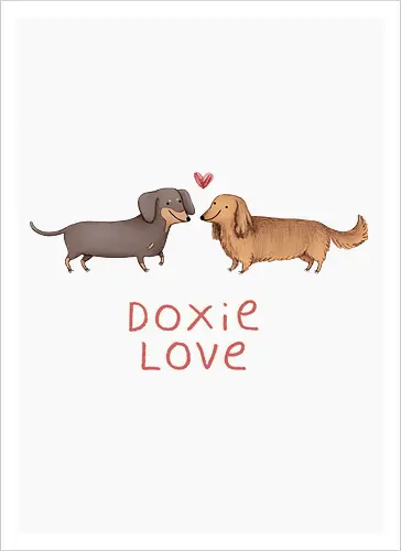 Zwei Lange Hunde Verliebt Rotes Herz Süße Illustration