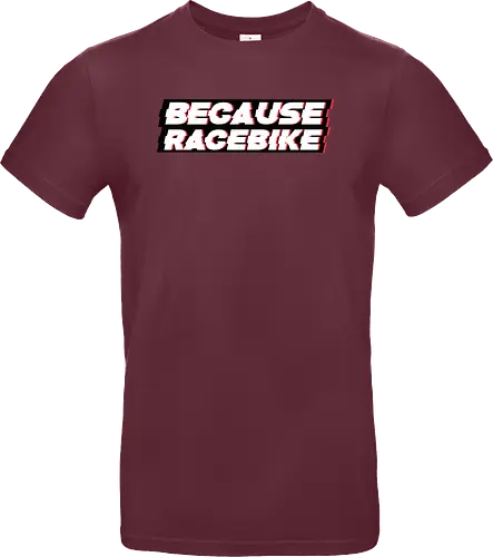 Slaty - Because Racebike