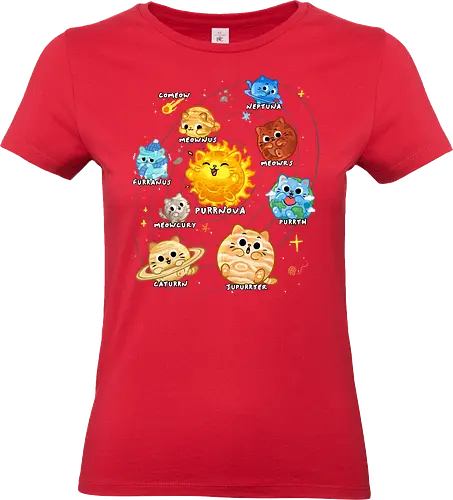 Solar Cat System
