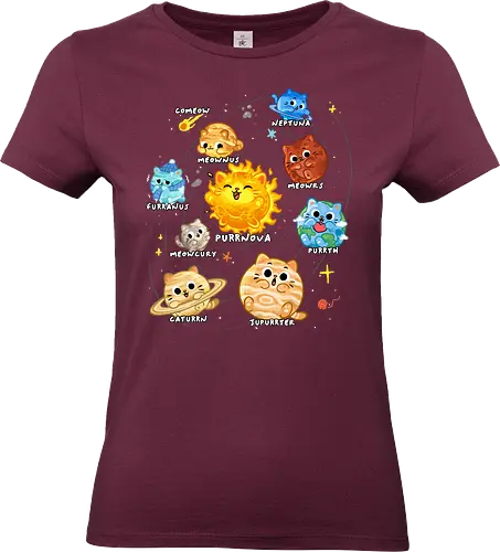 Solar Cat System