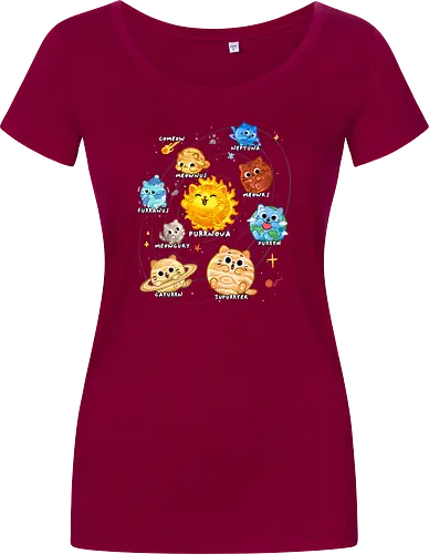 Solar Cat System