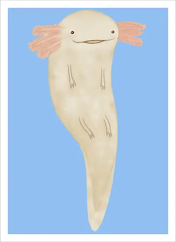 Süßer Wassermolch Rosa