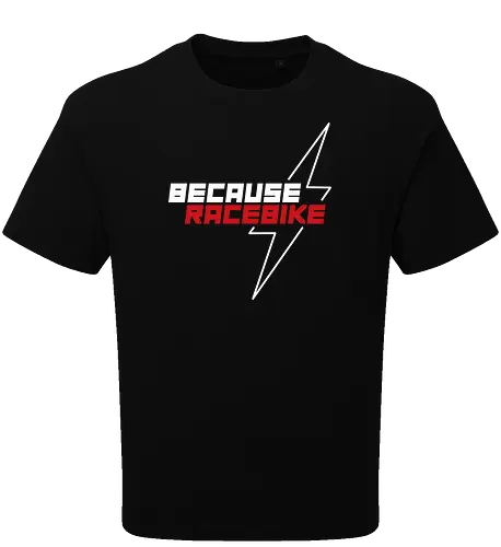 Slaty - Flash Logo