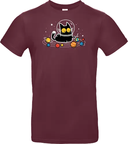 Cat Among the Planets - Space Kitten