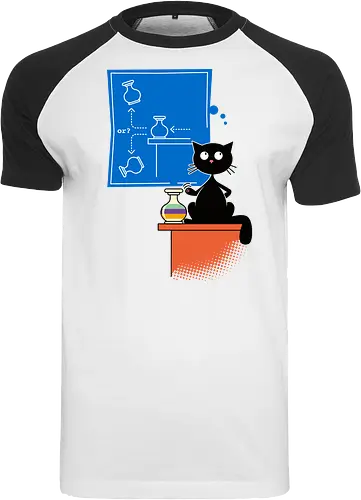 Experimental Physicist - Experimental Physicist, Cat, Cats, Scientist - Raglan T-Shirt