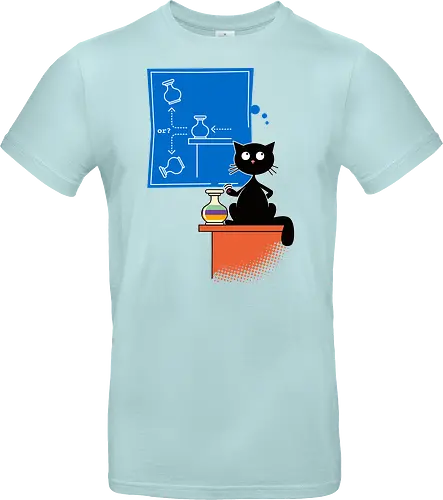 Experimental Physicist - Experimental Physicist, Cat, Cats, Scientist - Standard T-Shirt
