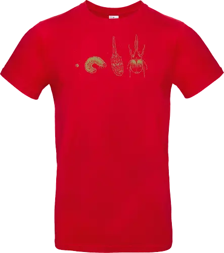 Beetle Life Cycle - hercules beetle, beetle, life cycle, dynastid beetle, dynastes hercules, rhinoceros beetle, scientific illustration, metamorphosis, entomology, exotic insect, illustration, insects, animal, nature, xmorfina - Standard T-Shirt