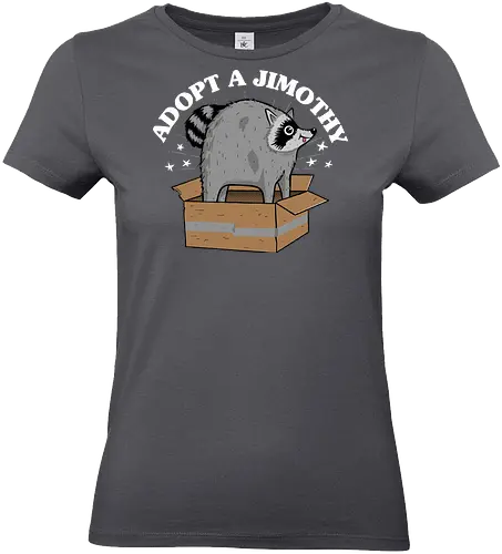 Adopt a Jimothy - Jimothy, raccoon, racoon, cute, seattle, Adopt a Jimothy, jimothy the raccoon - Standard T-Shirt (Frauen)
