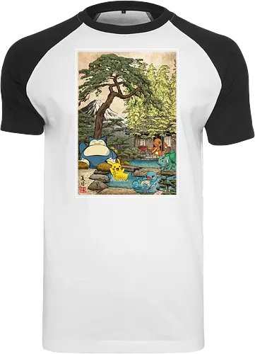 School of witchcraft and wizard woodblock - Raglan T-Shirt