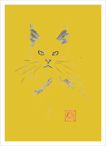 white main coon - cat, sumie, japan - Kunstdruck