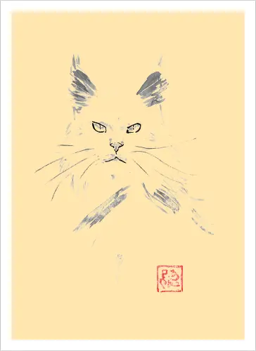 white main coon - cat, sumie, japan - Kunstdruck