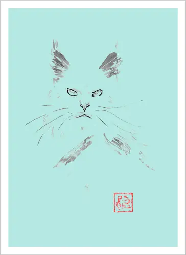 white main coon - cat, sumie, japan - Kunstdruck