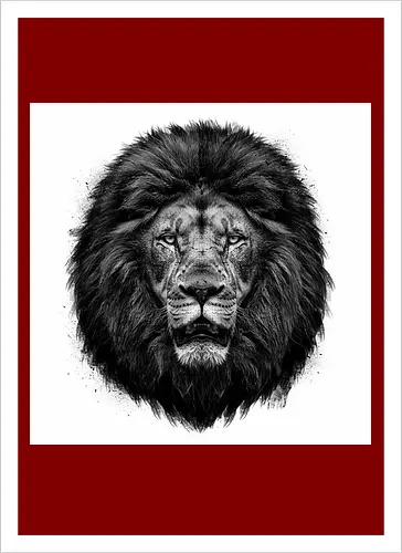Lion Charcoal Art - Kunstdruck