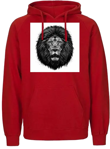 Lion Charcoal Art - Fairtrade Hoodie