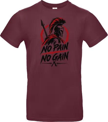 Spartan Discipline – No Pain No Gain - martial arts, fighter, ancient warrior, greek warrior, helmet, spartan, spartaner, no pain no gain, warrior, warrior spirit, discipline, strength, motivation, gym, fitness, bodybuilding, workout, training, spear, battle, courage, power, mindset, determination, toughness, streetwear, gym shirt, fitness shirt, motivational shirt, distressed design, red black, hand drawn, warrior aesthetic - Standard T-Shirt