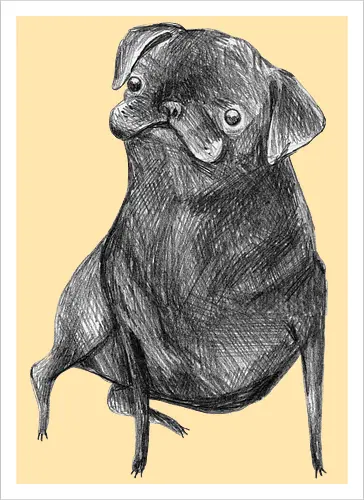Der Kleine Gentleman Mit Dem Neugierigen Blick - Mops, süßer Hund, schwarzer Hund, süßes Tier, Tierkunst, Bleistiftzeichnung, Illustration, Hundeliebhaber, Haustier, Tierportrait, minimalistische Kunst, kleiner Hund, Schwarzweißkunst, neugieriger Hund, Hundekunst - Kunstdruck