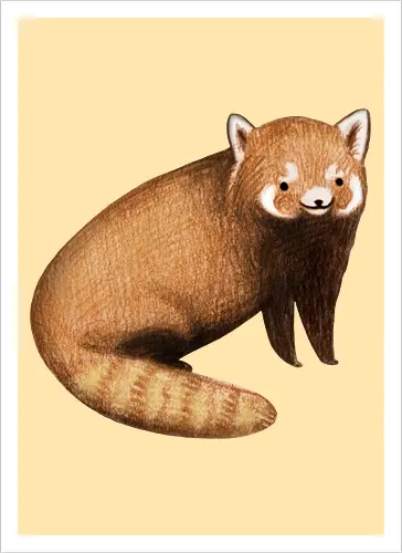 Rötlich Braunes Tier Gestreifter Schwanz Weiße Maske Süß - süßes rötlich braunes Tier, voluminöser beige gestreifter Schwanz, weiße rostige Augenmaske, künstlerische digitale Tier Illustration, Bleistift Aquarell Fell Textur, gefährdetes asiatisches exotisches Säugetier, exotisches Bergssäugetier, süßes realistisches Tier Kunst, exotisches Tier Liebhaber Geschenk, süßes asiatisches Tier Shirt, spitze Ohren weißes Inneres, Himalaya Wald Tier, Natur Tier Druck, zarte elegante Tier Kunst, seltene kostbare süße Kreatur - Kunstdruck